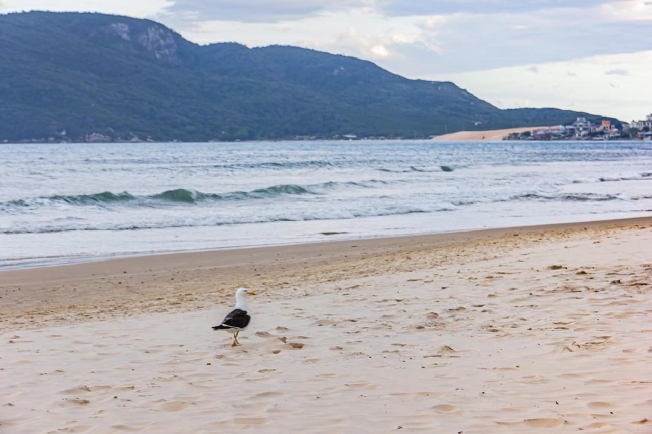Cobertura Com Vista Mar Para 6 Hospedes, 150 Metros Da Praia Dos Ingleses Ing17 ฟลอเรียนอโปลิส ภายนอก รูปภาพ